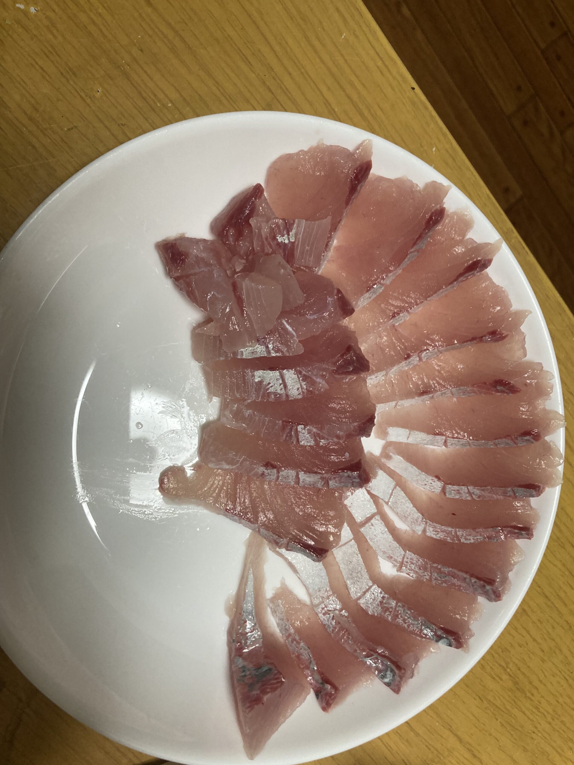 釣りたてヒラマサ